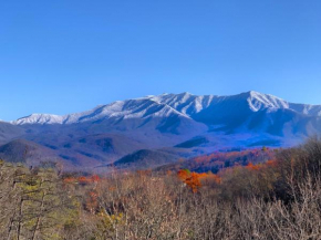 Mountainview Majesty